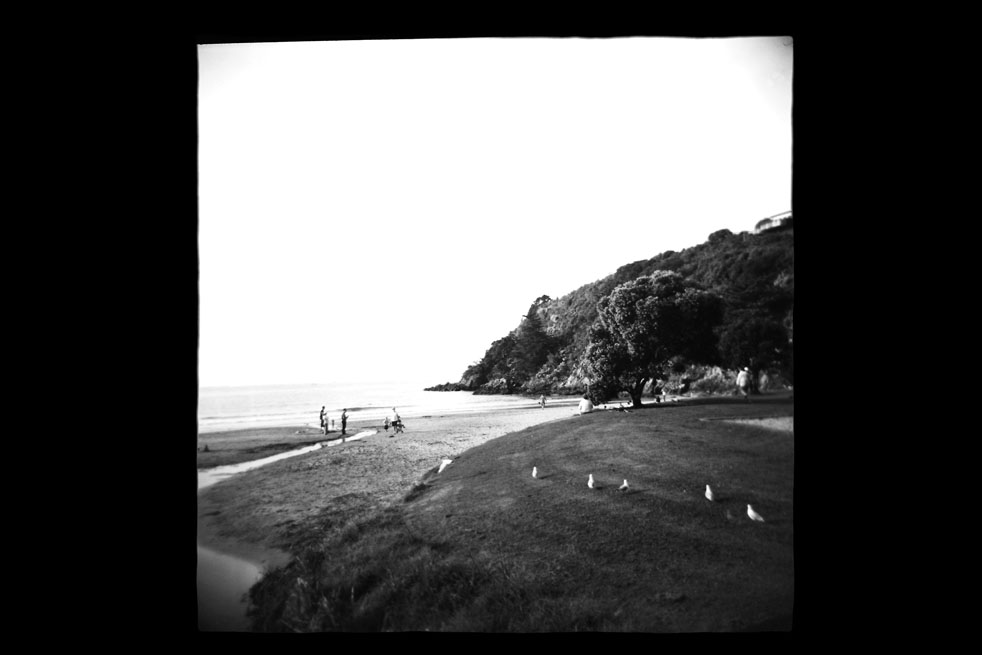 Waiheke_Landscape_Little O