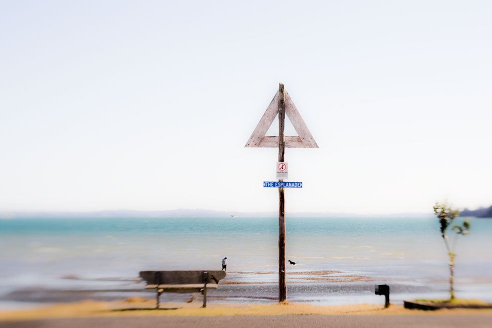 Waiheke Landscapes